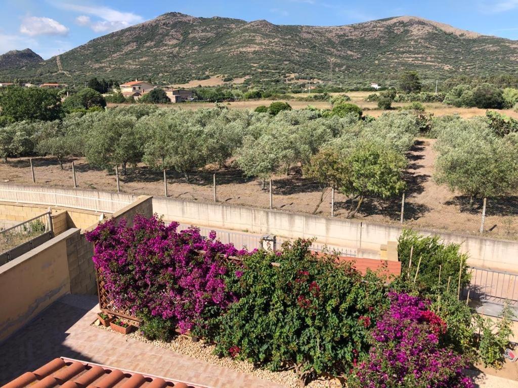 B&B Il Mirto Bianco San Giovanni Suèrgiu エクステリア 写真